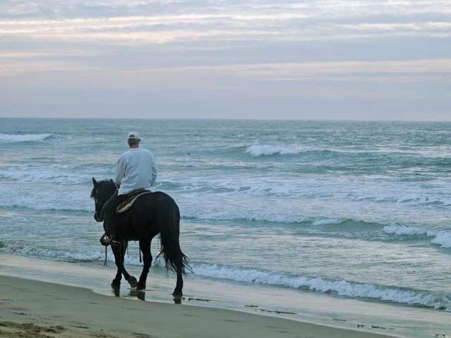 hombre montando a caballo