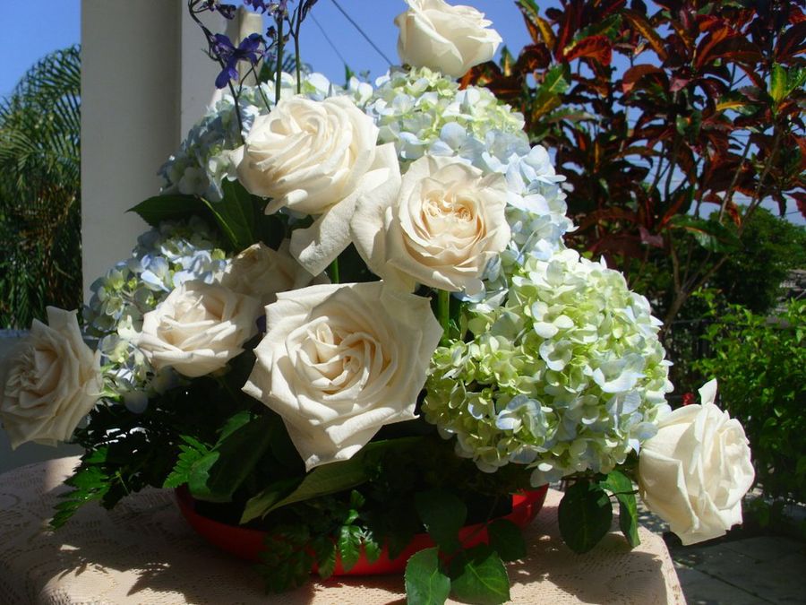 Imagen 5