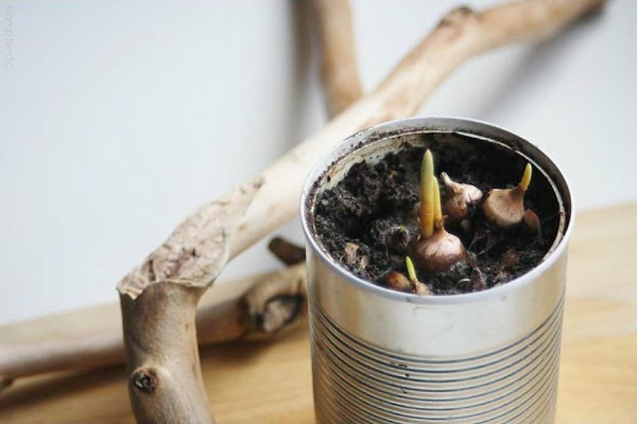 Huerto en casa: ideas para decorar tu jardin | Decoración