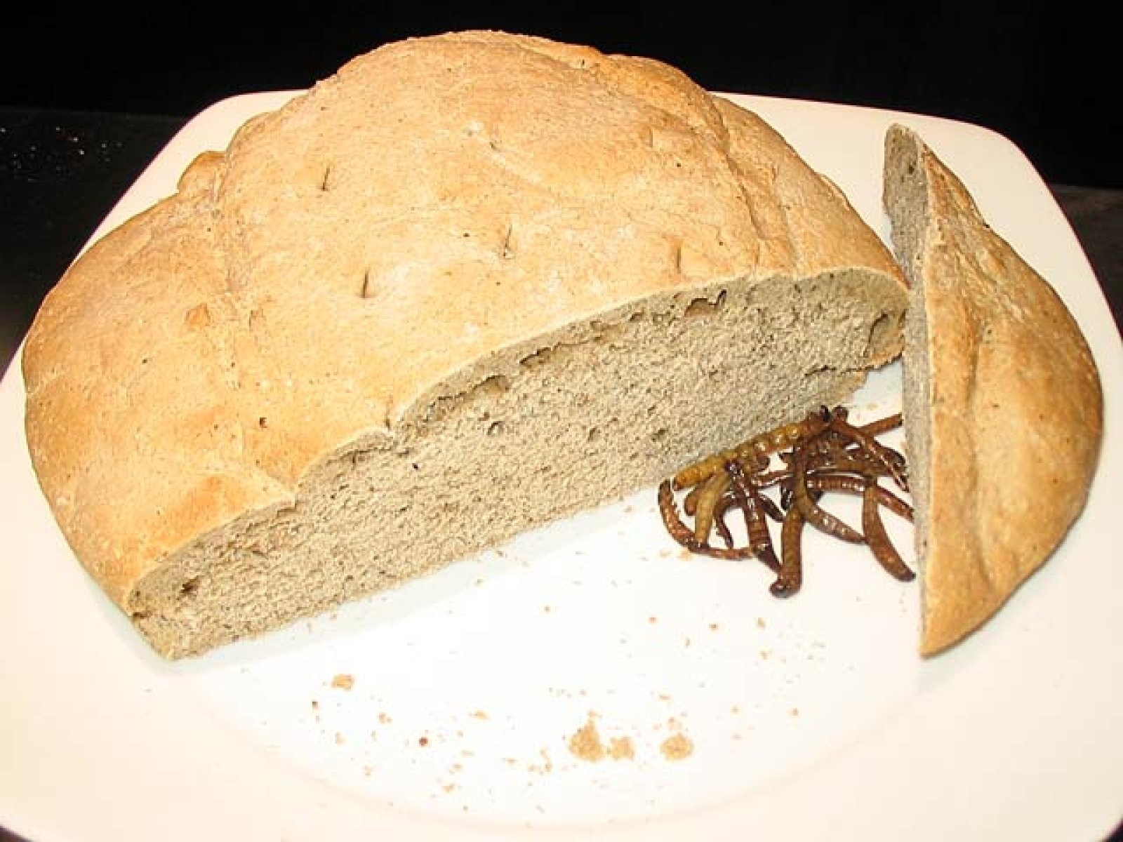 Bocadillo de gusanos