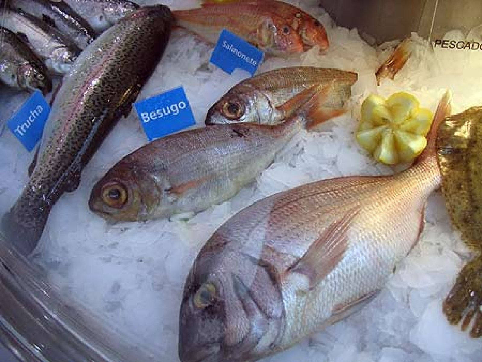 Pescado fresco
