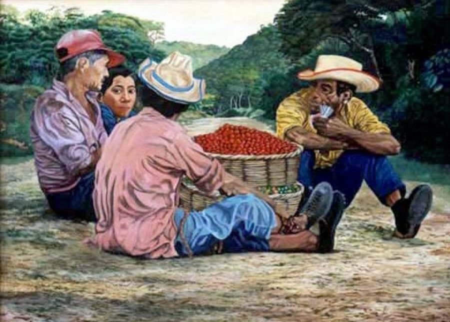 ilustración recogida del café