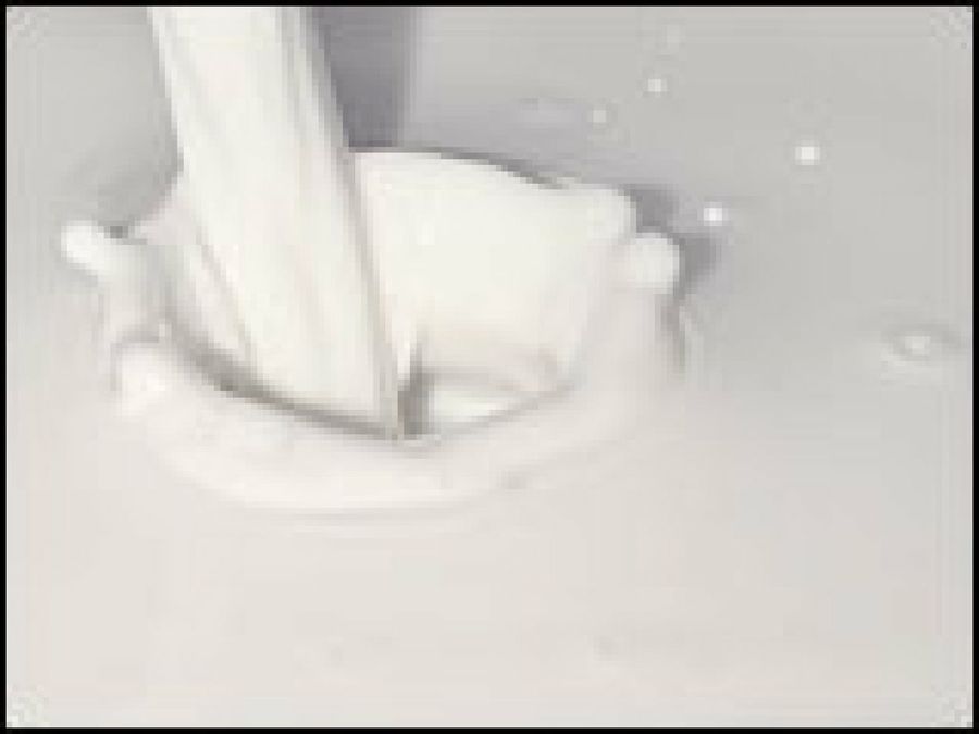 leche