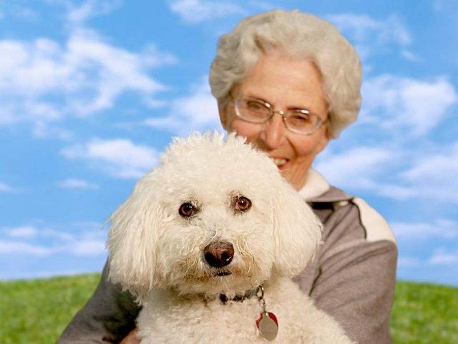 anciana con perro blanco