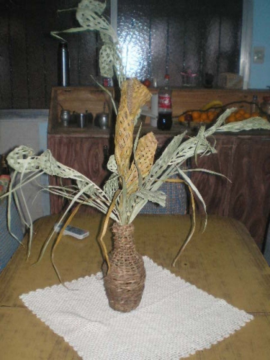 Cocina con fruta: tips y elementos | Cocina