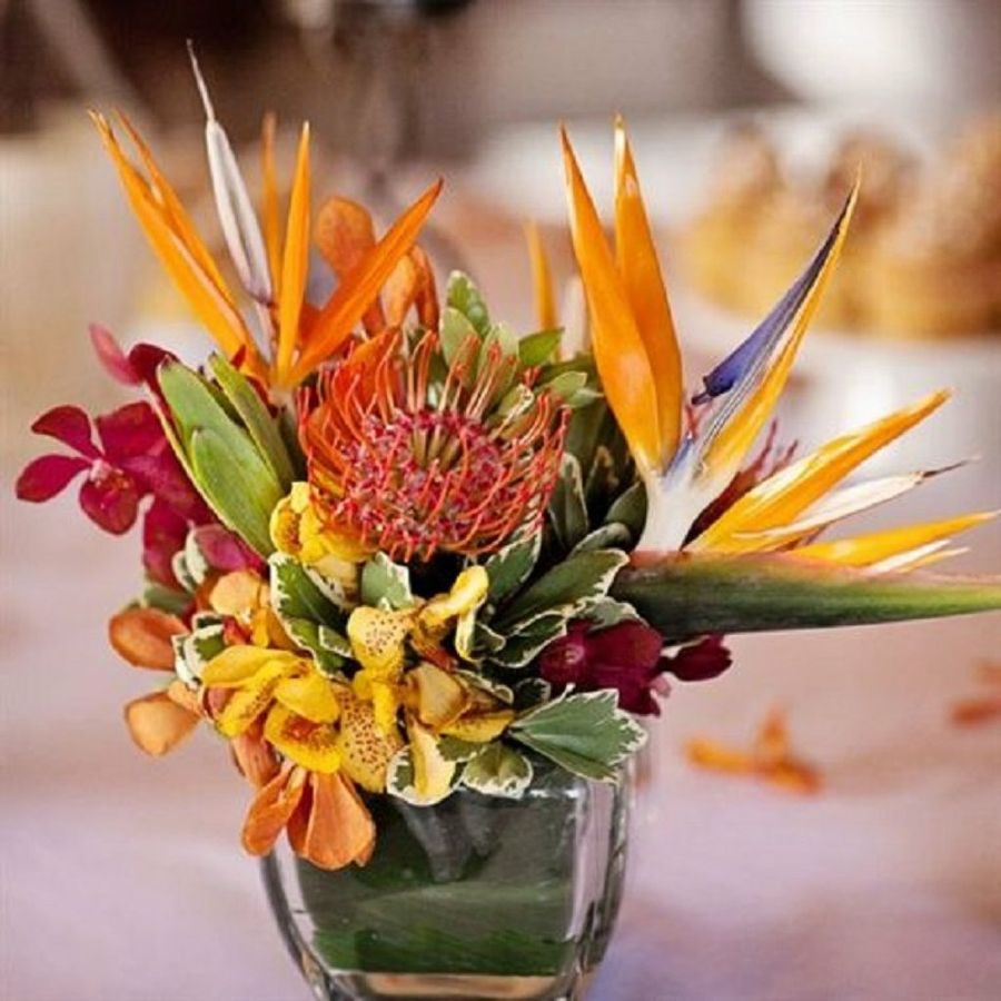 Arreglos florales tropicales: increíbles diseños decorativos | Plantas