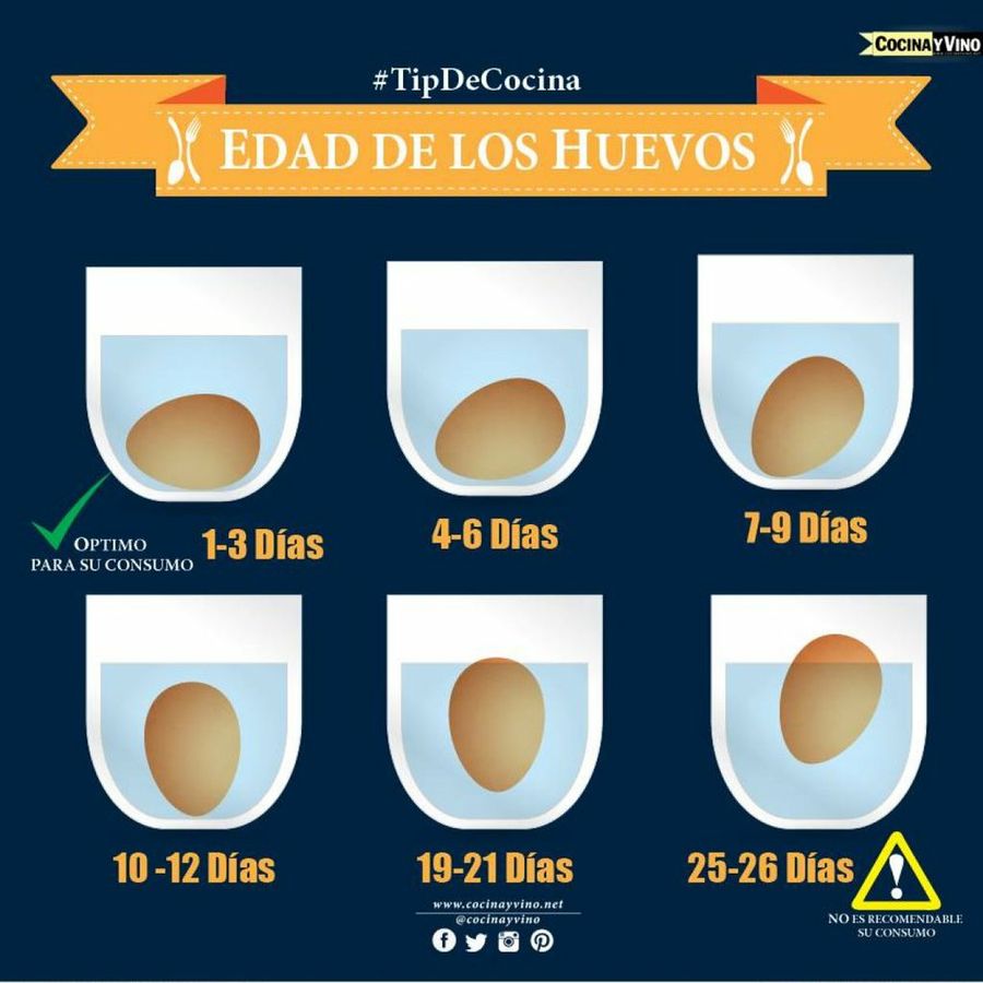 Cómo puedes saber si un huevo está fresco y es seguro para su