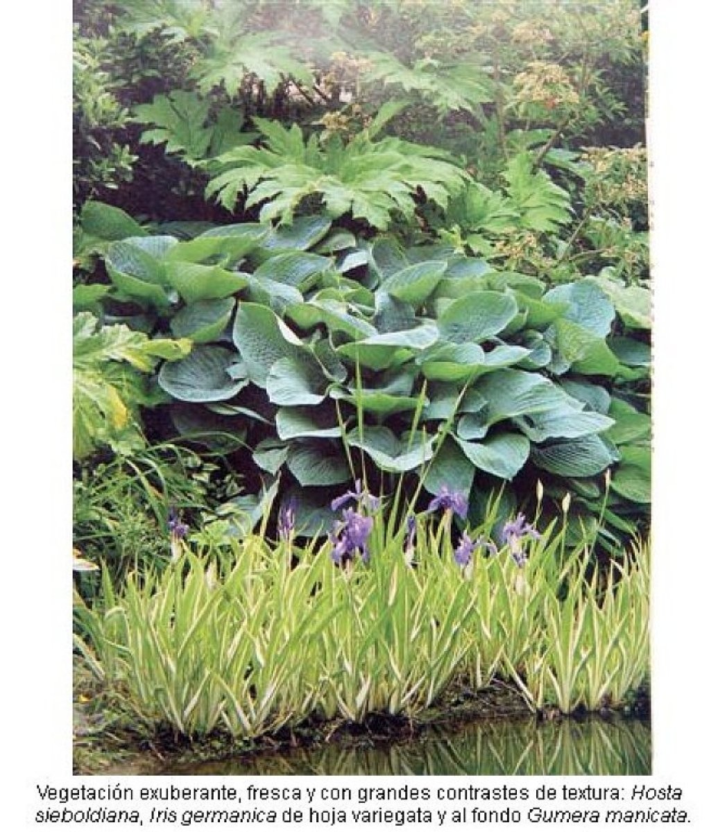 Jardín