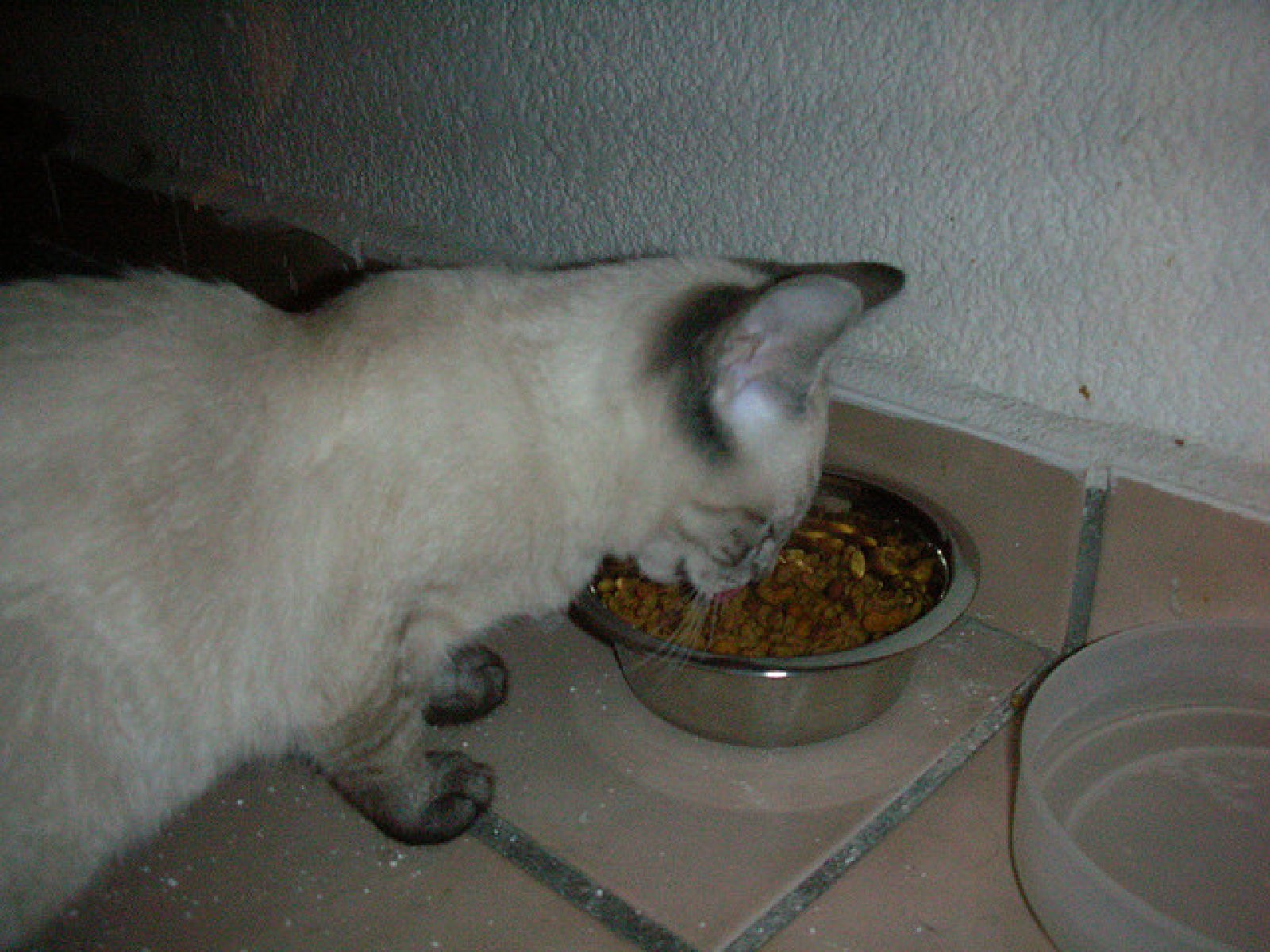 Imagen 0