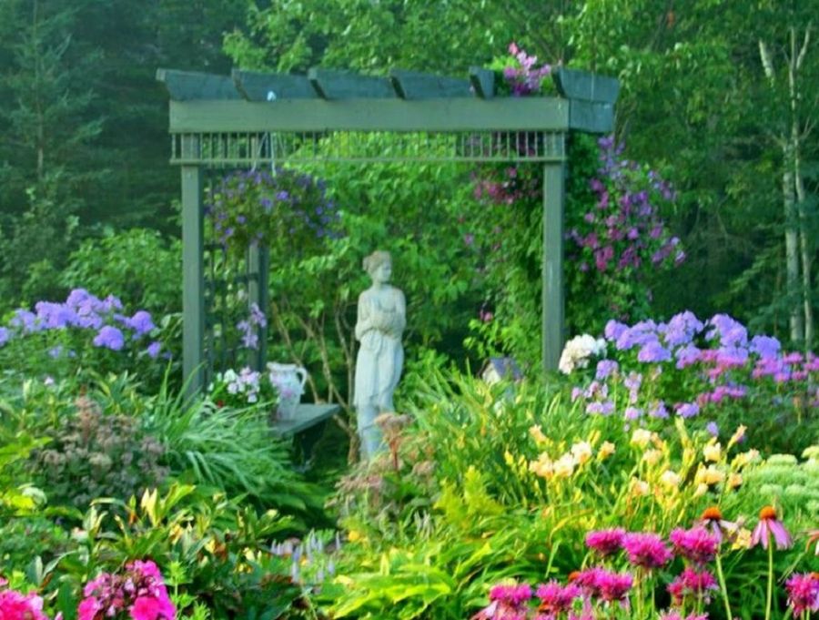 Decorar tu jardín: ideas y trucos | Plantas