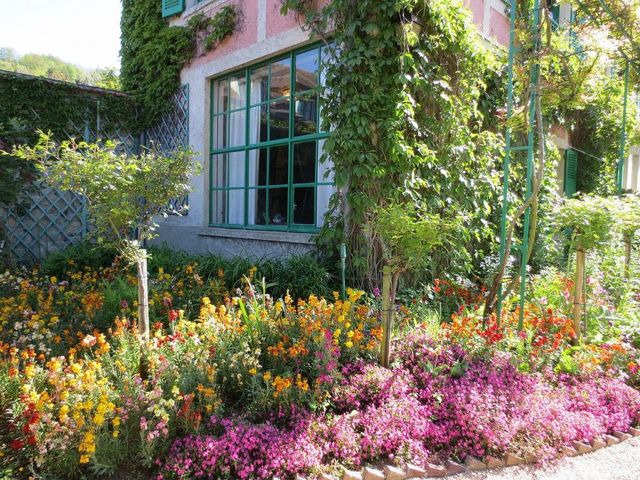 Cómo crear un árbol de rosas | Plantas