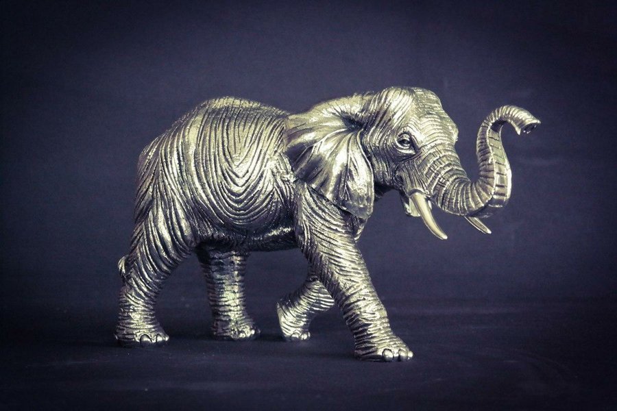 15 ideas de Suerte de elefantes
