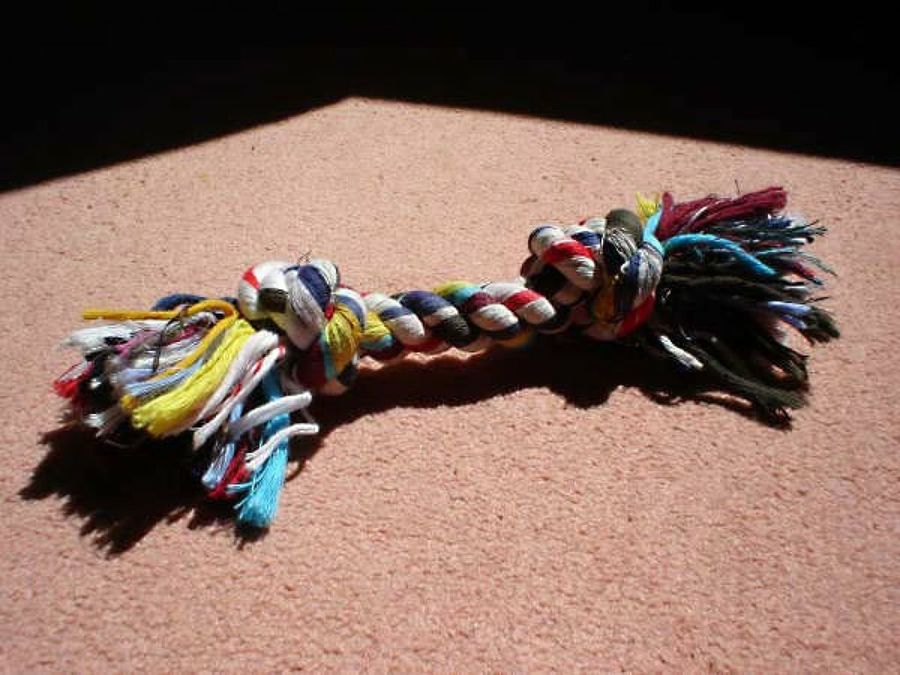 hueso no comestible con tiras de lana para perros