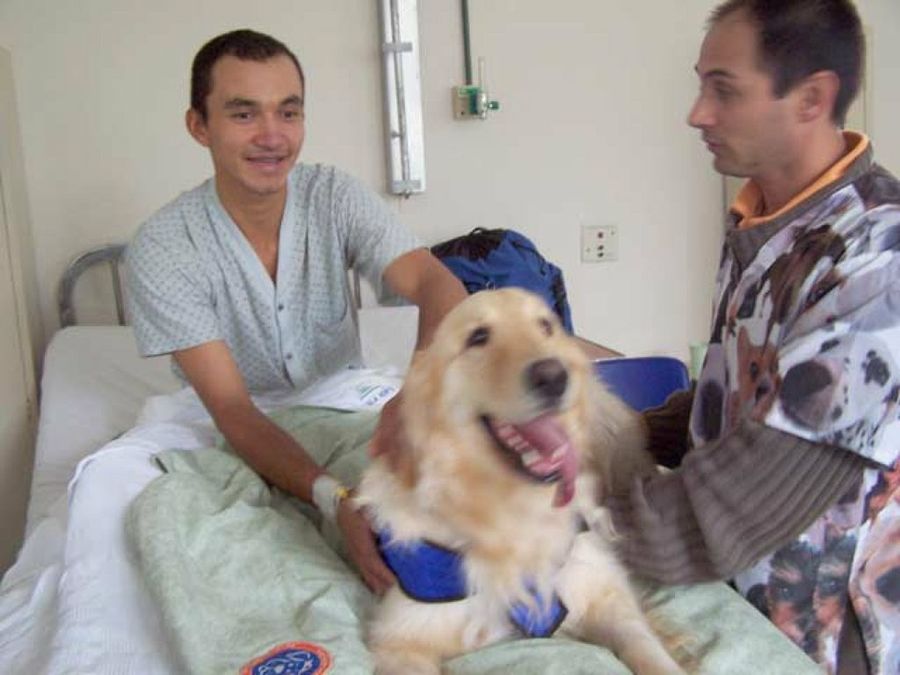 perro en hospital