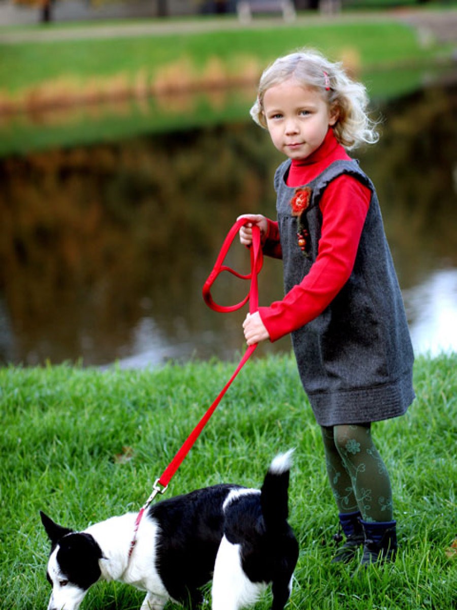 niña con perro