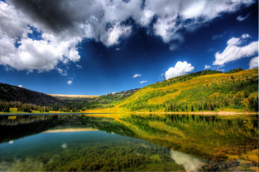 Originales regalos para Navidad