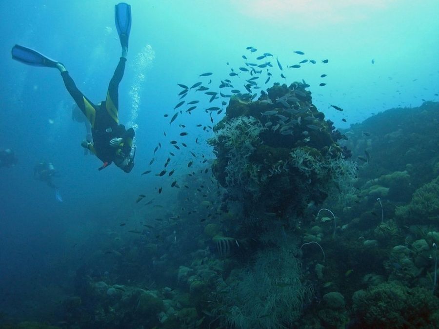 Cuadros de la Natividad