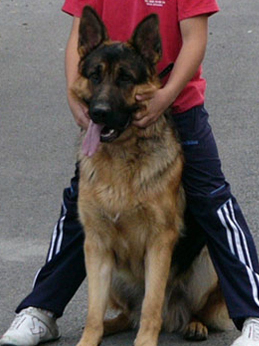 Xurco, héreo de Huelva