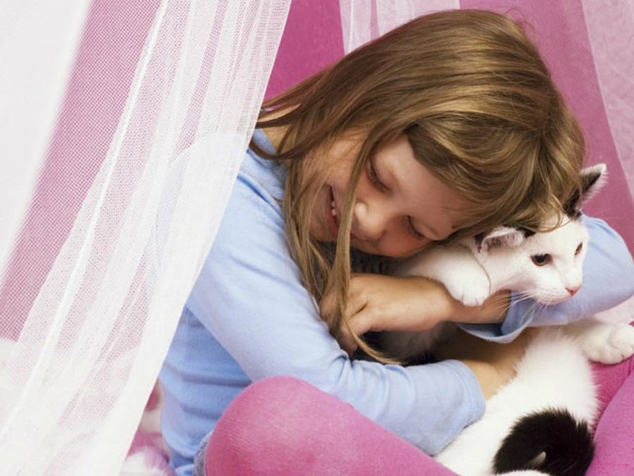 niña con gato