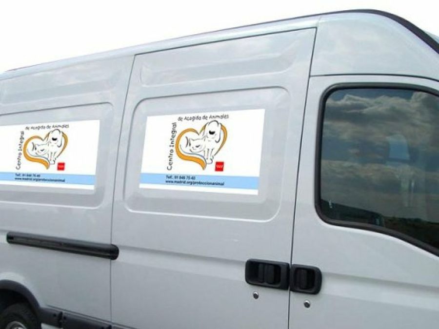 ambulancia VETERCAM 2