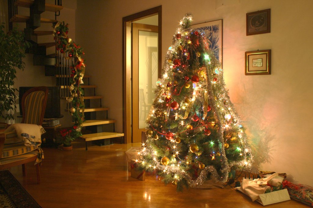 Qué hacer con el árbol de Navidad tras las fiestas