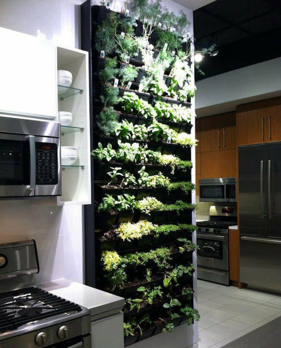 шкаф для выращивания зелени дома