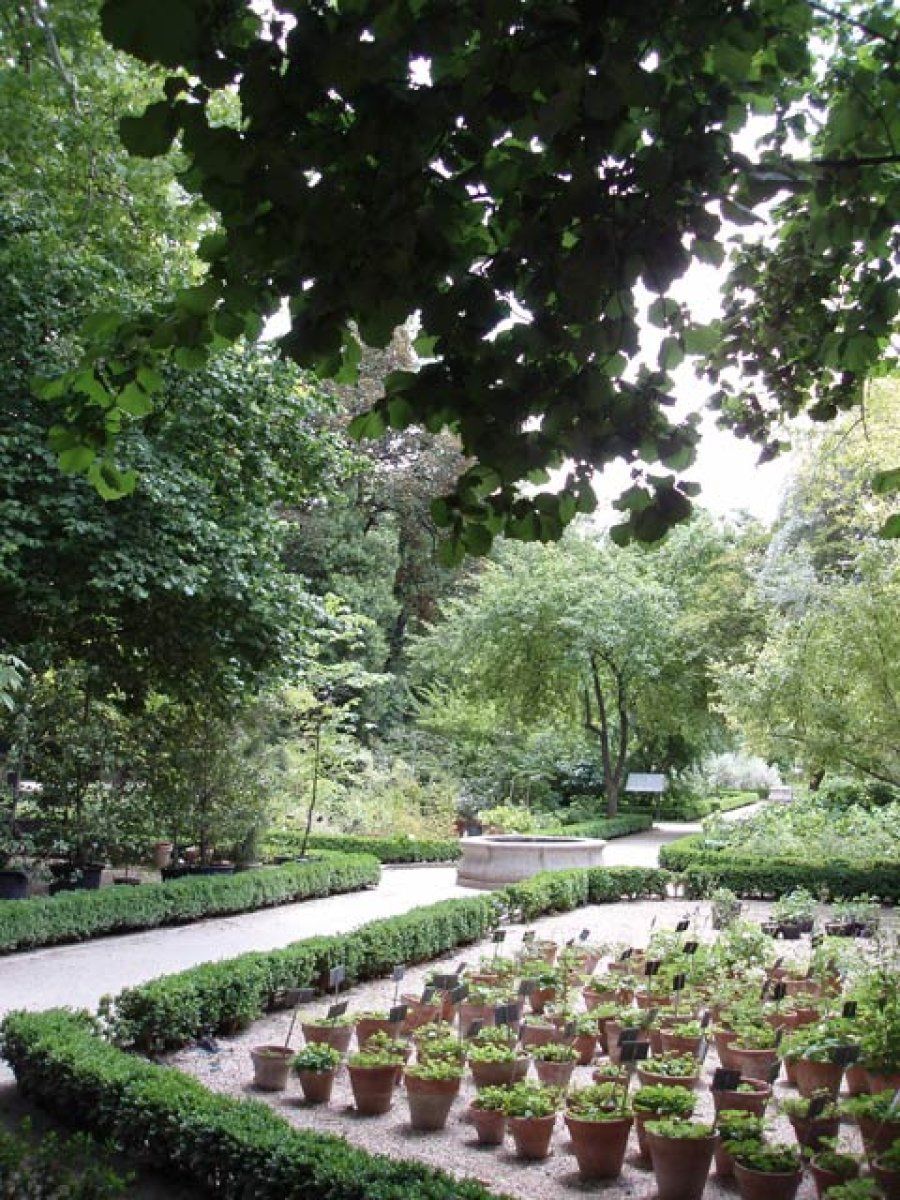 jardín botánico