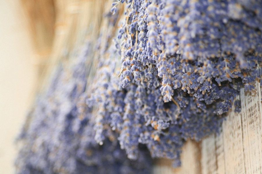 Lavanda seca