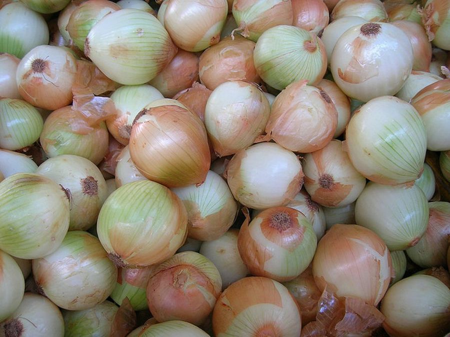 Everything You Need to Know About Onions