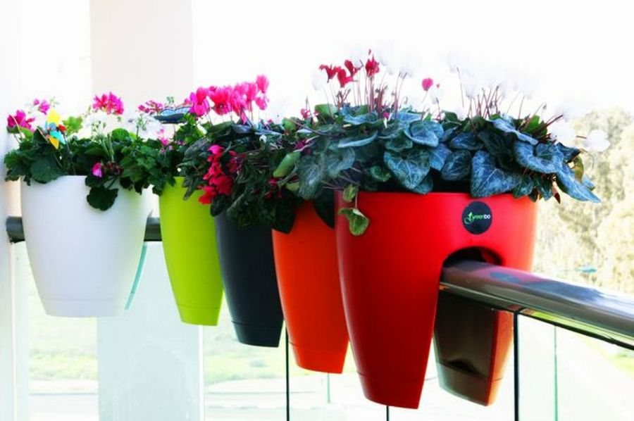 Jardineras en otoño