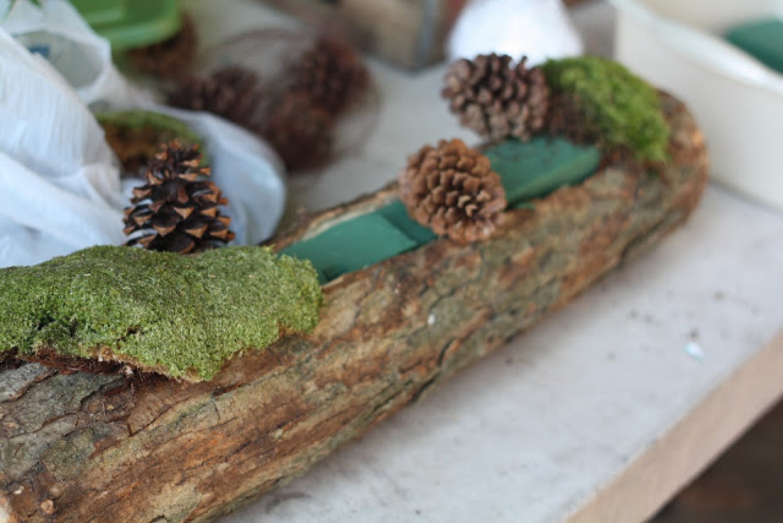 Imagen 5