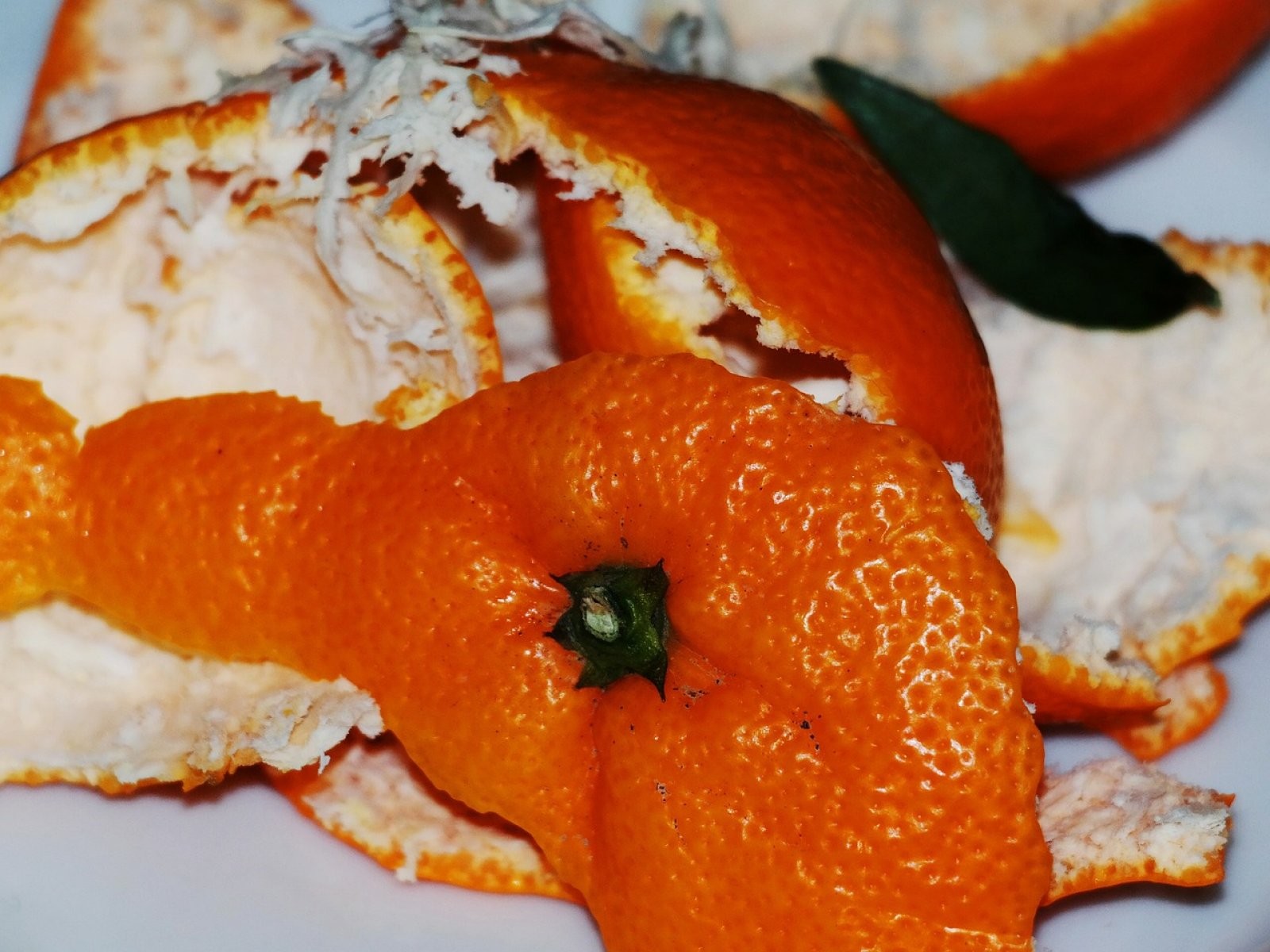 Reciclar cáscara de naranja: 5 usos sostenibles