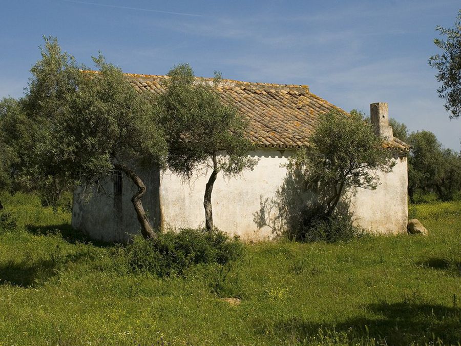 Tejado