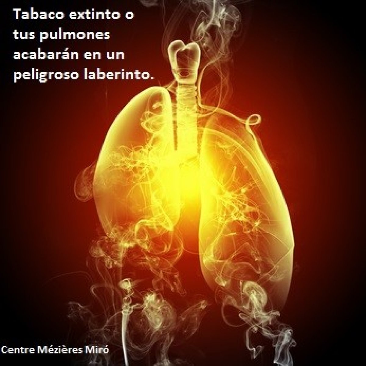 ¿Qué le pasa día a día a tu cuerpo cuando dejas de fumar?