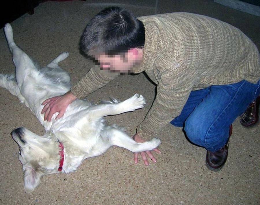 niño con perro tumbado