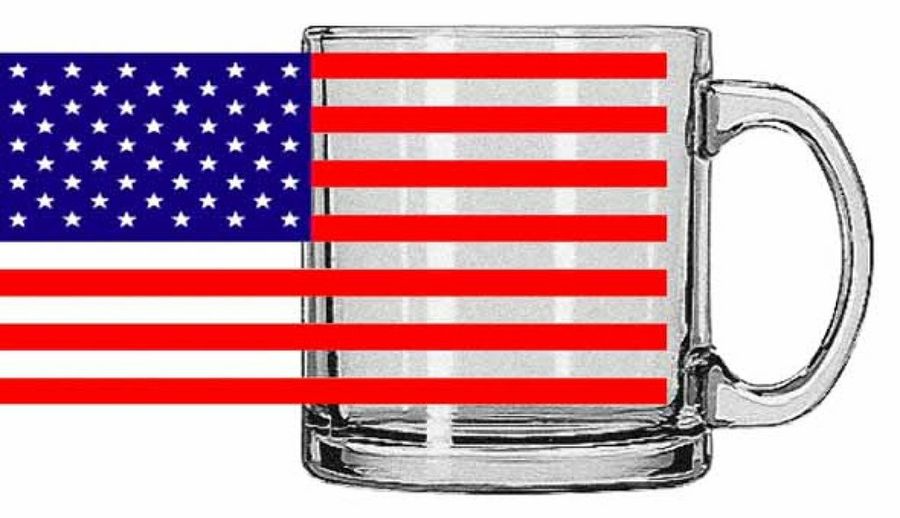 Mi jardín de invierno | Plantas