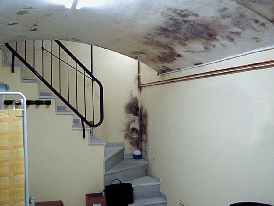 Paisajísmo con rojo: un color llamativo | Plantas