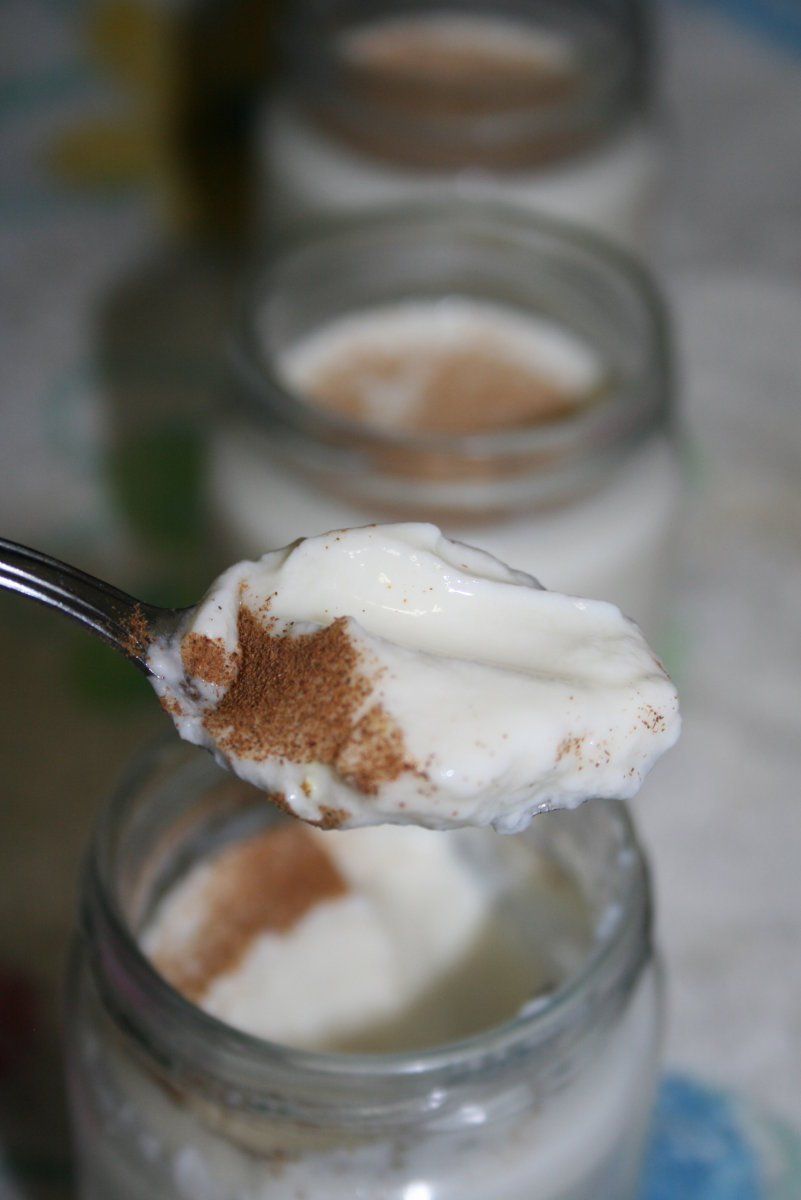 Cómo hacer yogur de leche merengada. Una delicia de receta que explica la autora del blog El Ágora de Ángeles. En su Facebook https://www.facebook.com/ElAgoradeAngeles vas a ver muchas más recetas tan buenas como ésta.