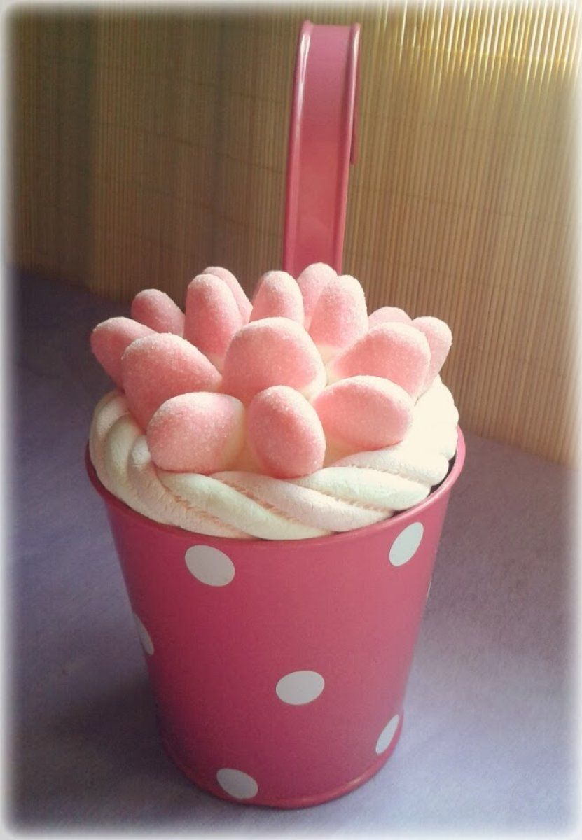  Maceta de chuches