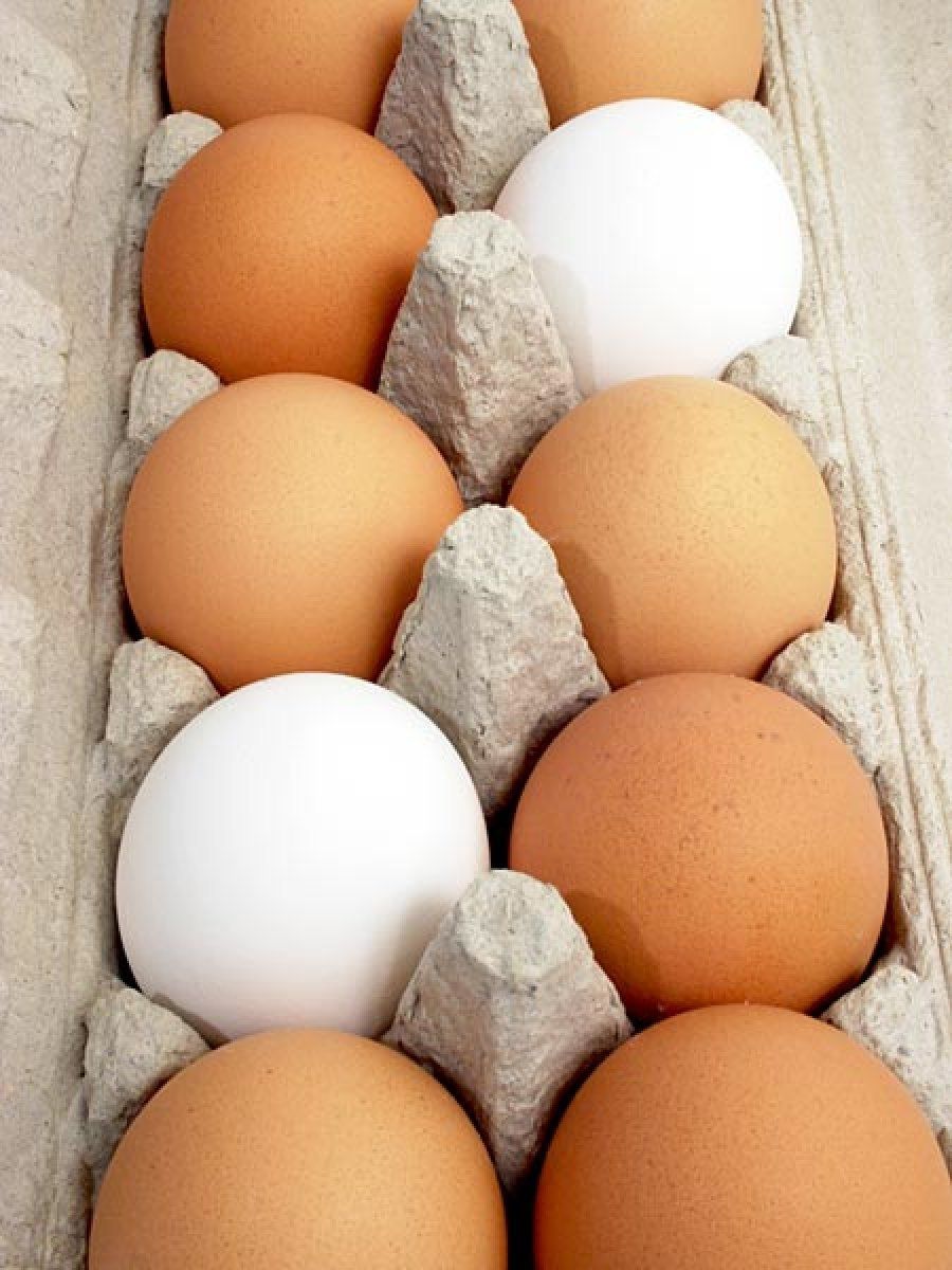 huevos