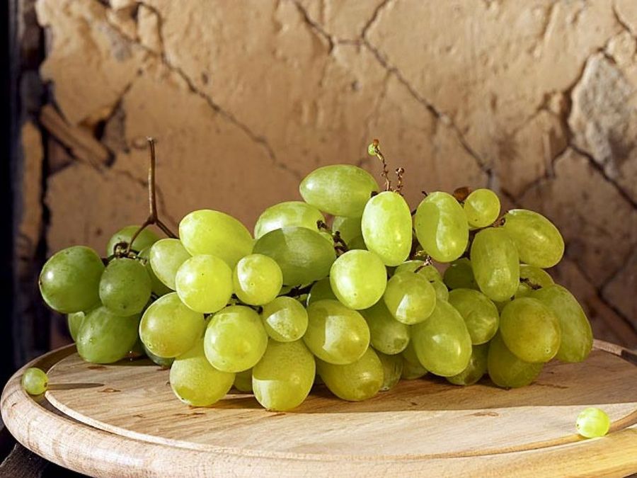 Uvas