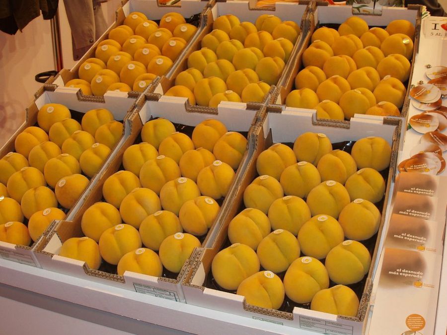 Melocotón de calanda