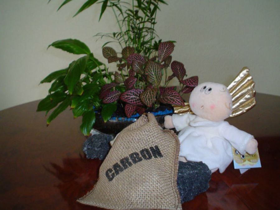 Carbón dulce