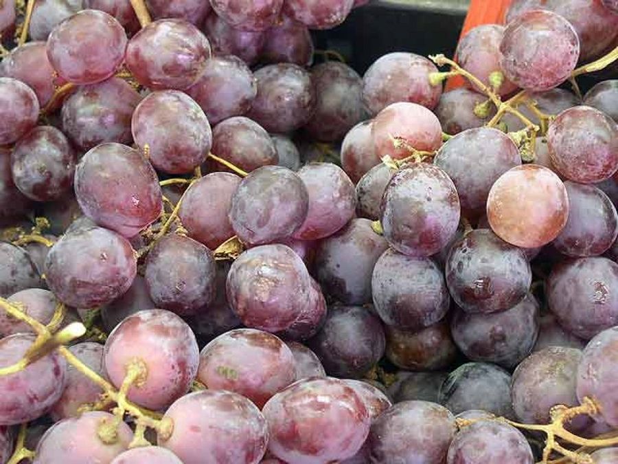 uvas