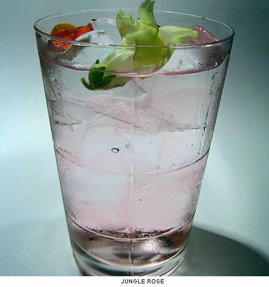 cóctel jungle rose