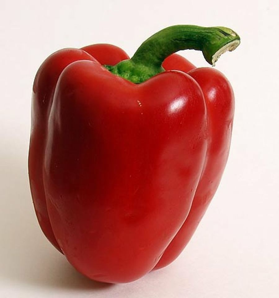 pimiento rojo