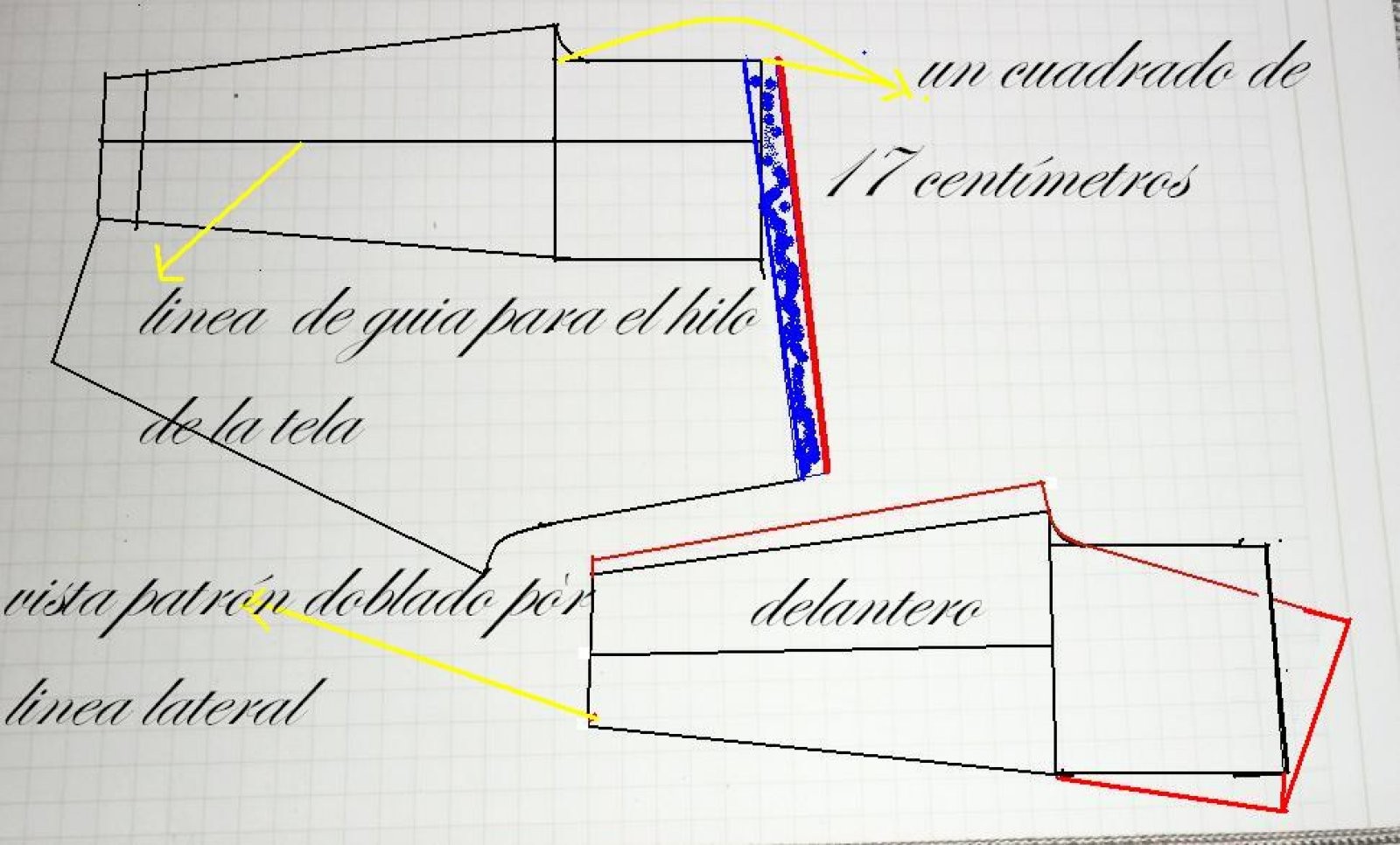 Imagen 5
