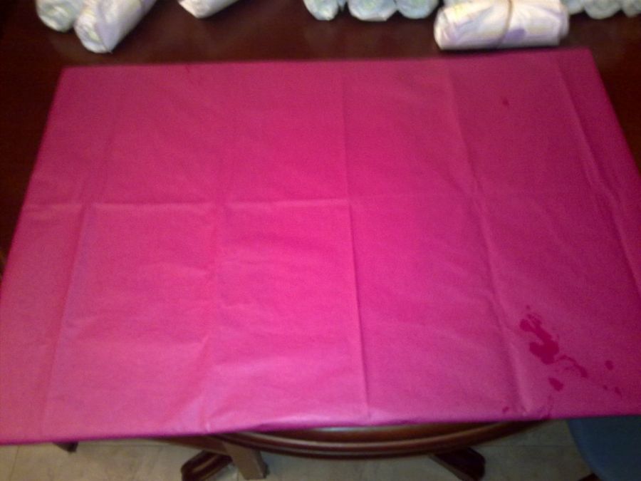  Castillo de pañales