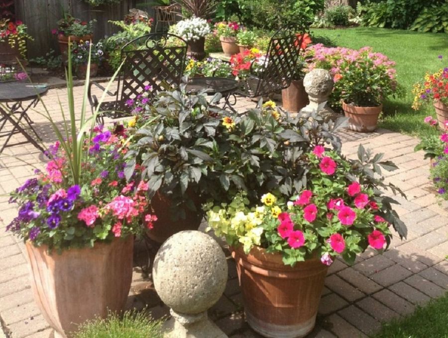 Decorar tu jardín: ideas y trucos | Plantas