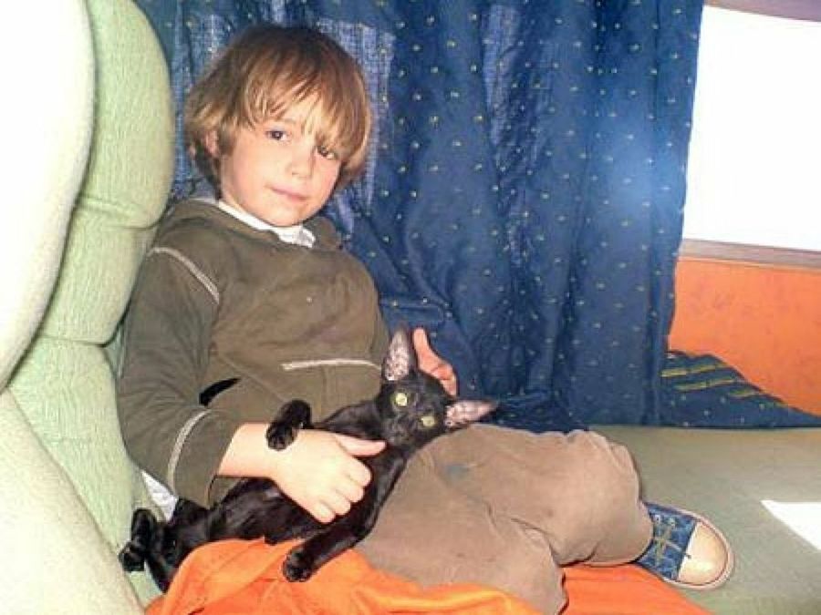 niño con su gato